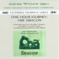 Aisling Willow Grey - Extended Journeys Series