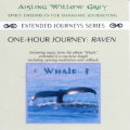 Aisling Willow Grey - Extended Journeys Series