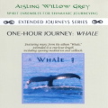 Aisling Willow Grey - Extended Journeys Series
