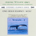 Aisling Willow Grey - Extended Journeys Series
